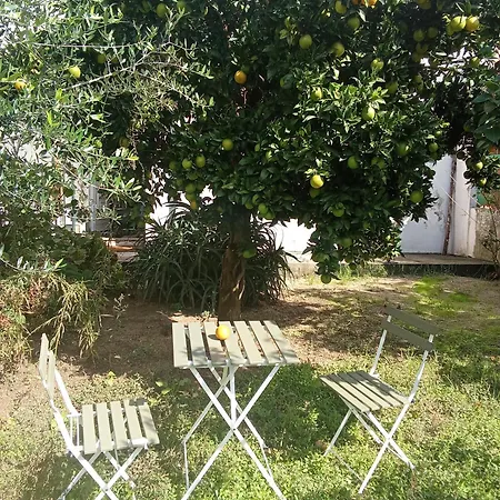 With Balconies And Garden Apartamento *