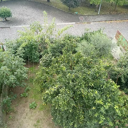 Daire With Balconies And Garden Amarante