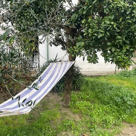 Apartamento With Balconies And Garden *