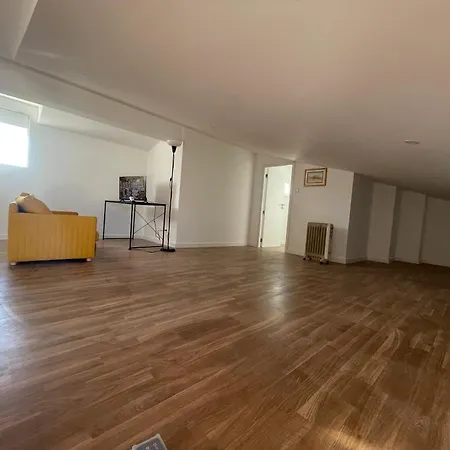 Apartamento With Balconies And Garden Amarante