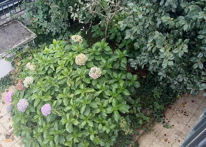 With Balconies And Garden