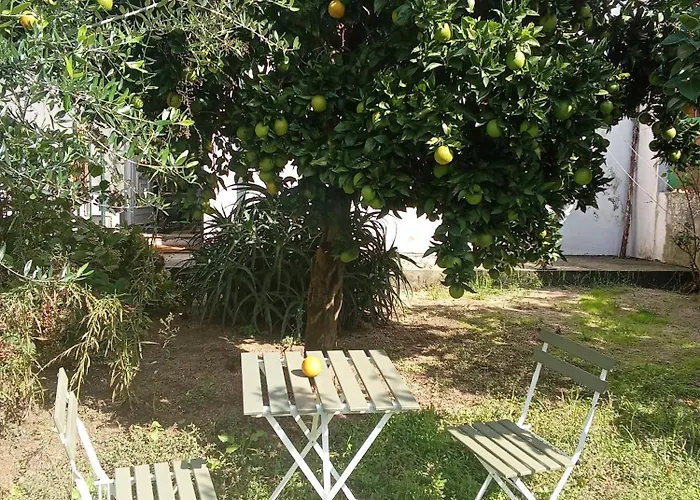 With Balconies And Garden Lägenhet *