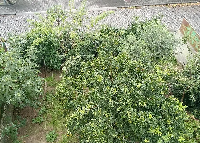 Lägenhet With Balconies And Garden Amarante